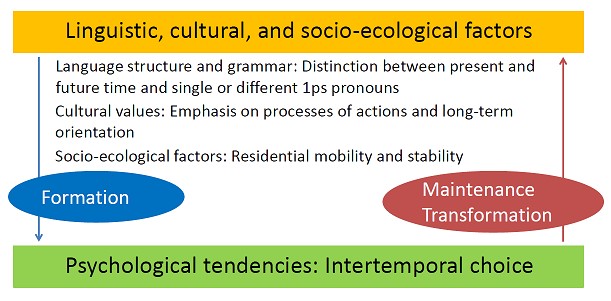 Linguistic and cultural influences in decision-making: Examination of time discounting
